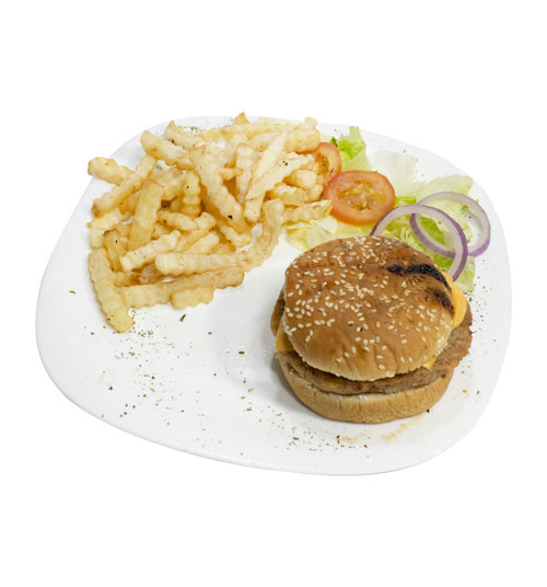 Hamburgeusa-ic